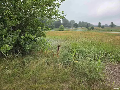 908 Brinkman Way, Metamora, IL 61548