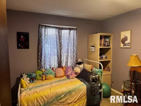 1415 E Sycamore St, Canton, IL 61520 photo 19