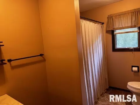 1415 E Sycamore St, Canton, IL 61520 photo 47