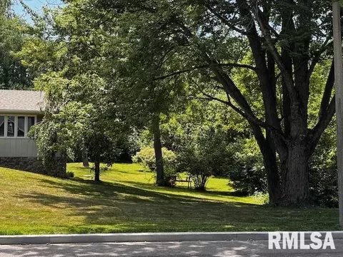 1415 E Sycamore St, Canton, IL 61520 photo 7