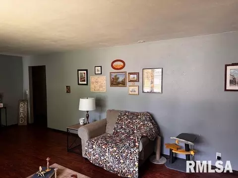 1415 E Sycamore St, Canton, IL 61520 photo 15