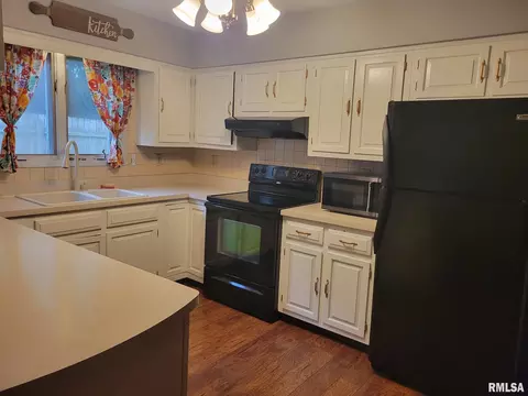 1415 E Sycamore St, Canton, IL 61520 photo 11