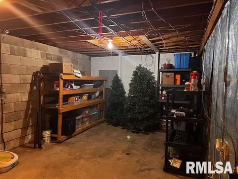 1415 E Sycamore St, Canton, IL 61520 photo 32