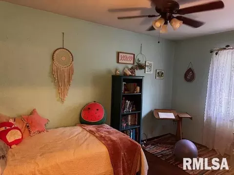 1415 E Sycamore St, Canton, IL 61520 photo 24