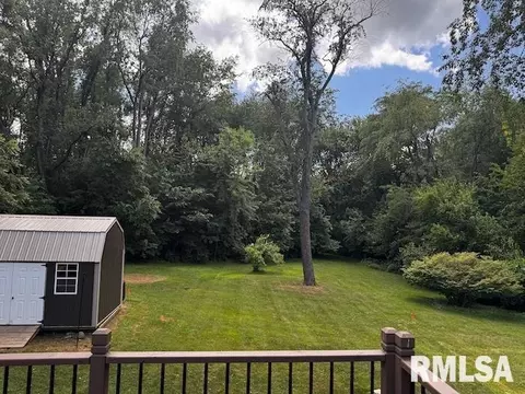 1415 E Sycamore St, Canton, IL 61520 photo 45