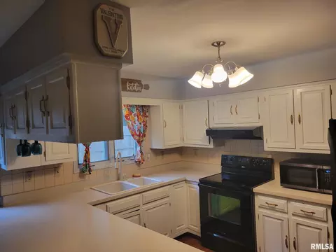 1415 E Sycamore St, Canton, IL 61520 photo 12