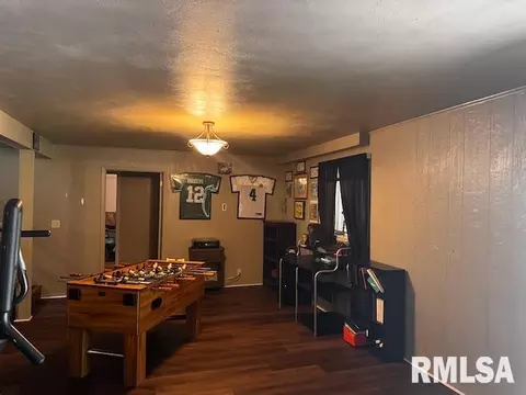1415 E Sycamore St, Canton, IL 61520 photo 29