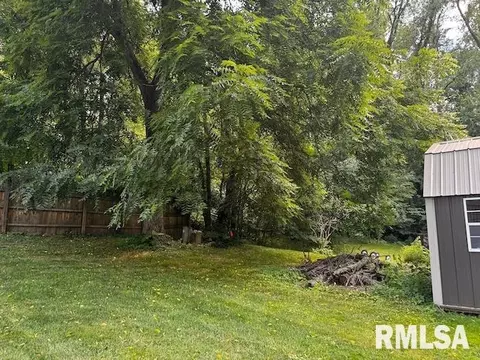 1415 E Sycamore St, Canton, IL 61520 photo 39