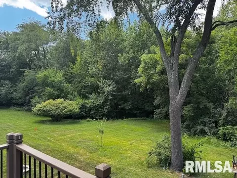 1415 E Sycamore St, Canton, IL 61520 photo 44
