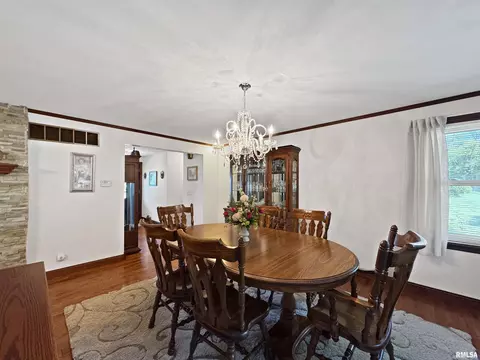 519 E Robinson St, Goodfield, IL 61742 photo 19