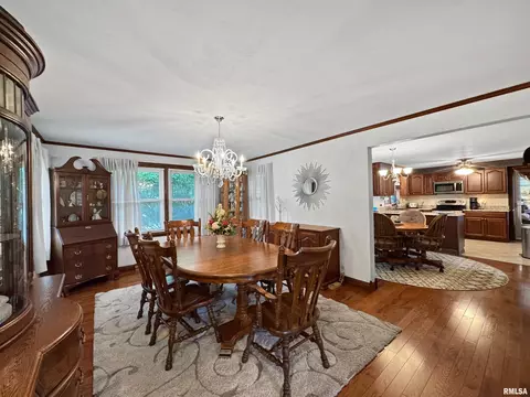 519 E Robinson St, Goodfield, IL 61742 photo 17