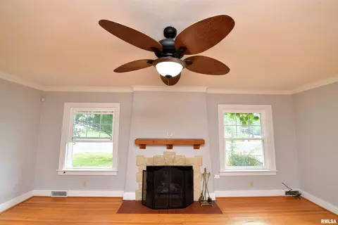 Living - 300 Embert Pl, Peoria, IL 61603 photo 4 of 10