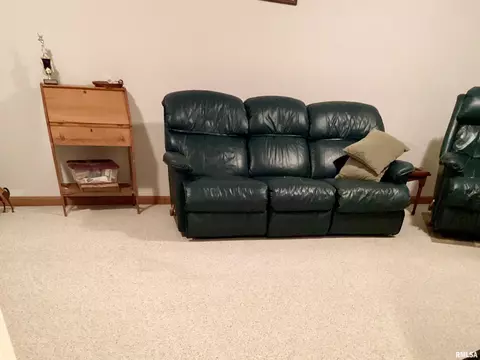 Living - 7612 W Thornridge Dr, Mapleton, IL 61547 photo 5 of 5