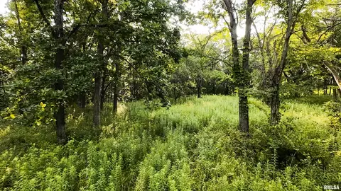 0 Berwick Rd, Berwick, IL 61417 photo 32