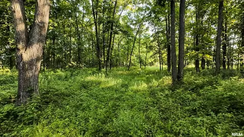 0 Berwick Rd, Berwick, IL 61417 photo 37