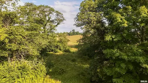 0 Berwick Rd, Berwick, IL 61417 photo 59