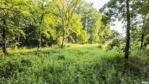 0 Berwick Rd, Berwick, IL 61417 photo 39
