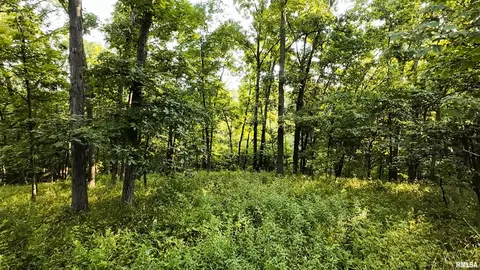 0 Berwick Rd, Berwick, IL 61417 photo 33