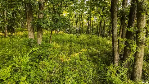 0 Berwick Rd, Berwick, IL 61417 photo 36