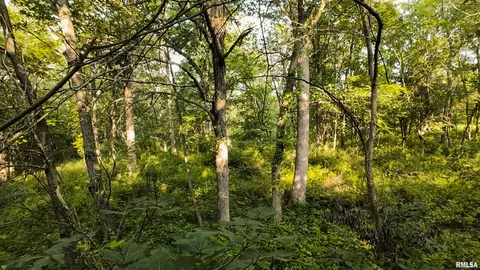 0 Berwick Rd, Berwick, IL 61417 photo 52