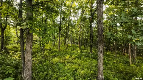 0 Berwick Rd, Berwick, IL 61417 photo 51