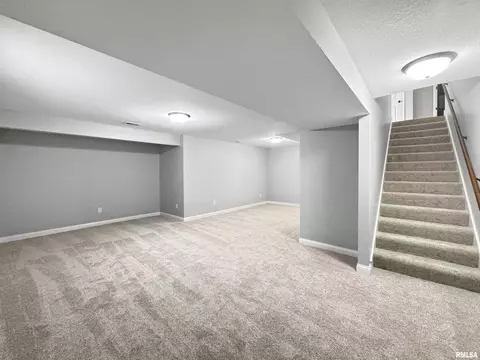 1429 Eagle Ave, Washington, IL 61571 photo 30