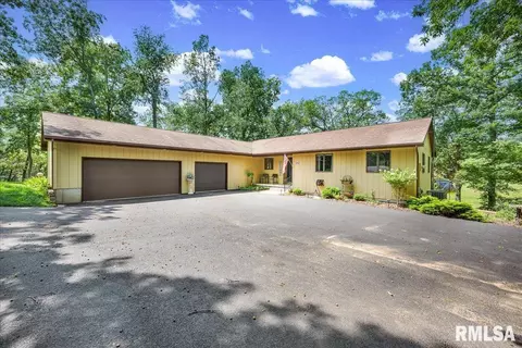 296 Longshore Ct, Dahinda, IL 61428