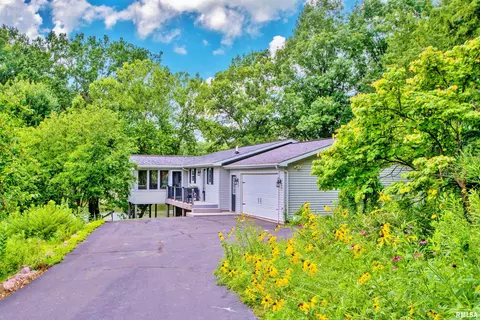 223 N Shore Pl, Dahinda, IL 61428