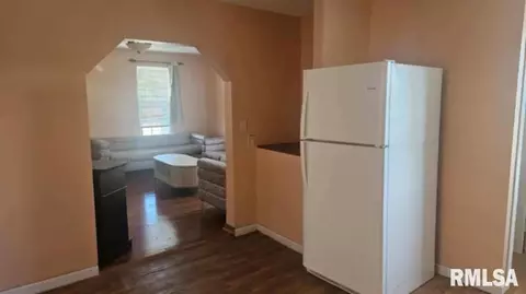 62 N 5th Ave, Canton, IL 61520 photo 6