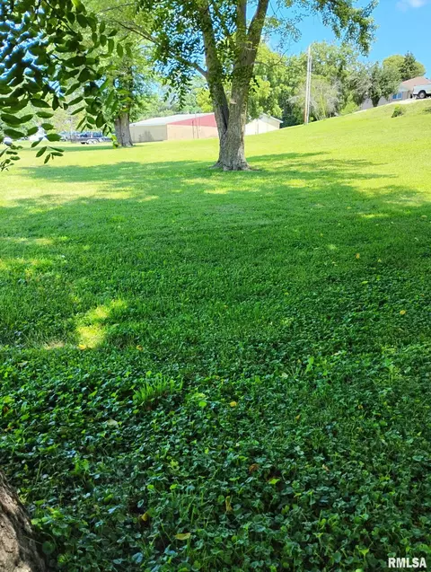 351 S Avenue D, Canton, IL 61520