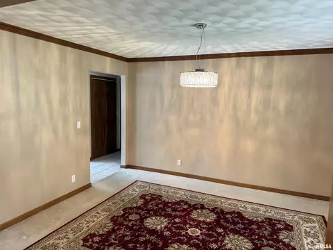 316 W Copperfield Dr, Dunlap, IL 61525 photo 22