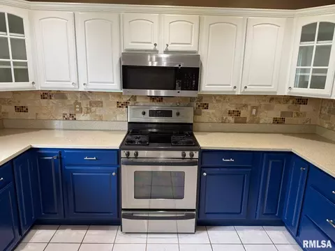 316 W Copperfield Dr, Dunlap, IL 61525 photo 17