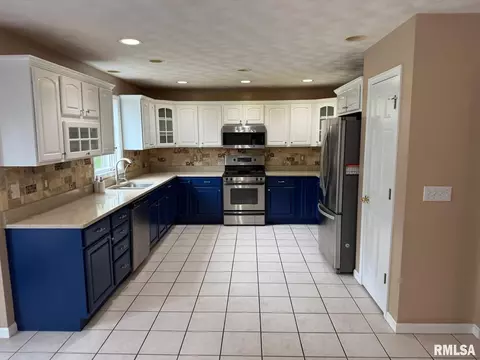 316 W Copperfield Dr, Dunlap, IL 61525 photo 12