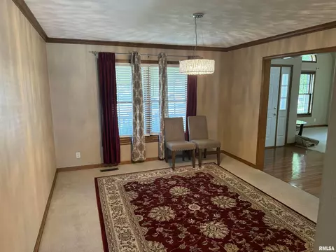 316 W Copperfield Dr, Dunlap, IL 61525 photo 23