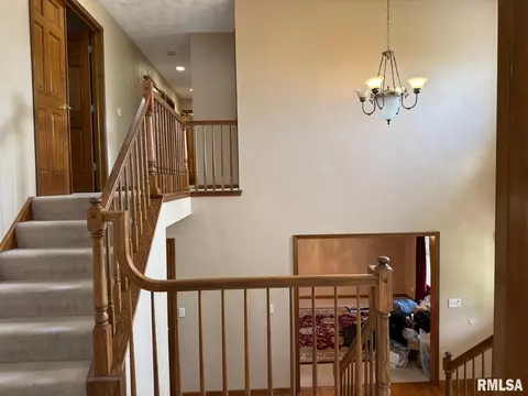 316 W Copperfield Dr, Dunlap, IL 61525 photo 11