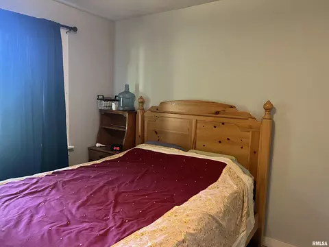 6315 E Holler Rd, Ipava, IL 61441 photo 18