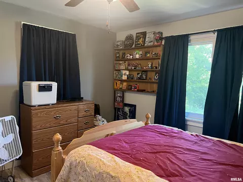 6315 E Holler Rd, Ipava, IL 61441 photo 17