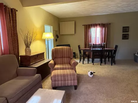 Other - 898 Elm St, Canton, IL 61520 photo 6 of 9