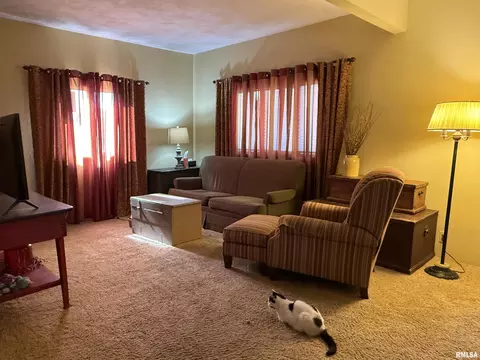 Living - 898 Elm St, Canton, IL 61520 photo 1 of 1