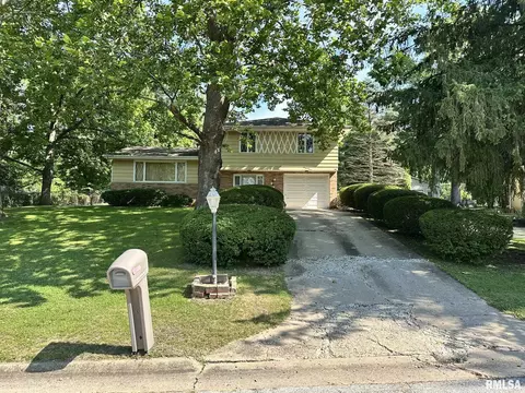 221 Van Dyke Dr, Canton, IL 61520