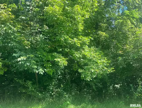 10 Summit Dr, Mackinaw, IL 61755