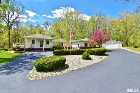 60 Birchwood Ct, Dahinda, IL 61428