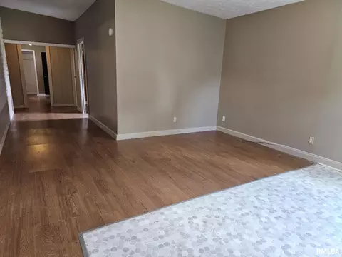 321 S Vine St, Mount Pulaski, IL 62548 photo 9