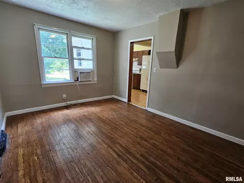 321 S Vine St, Mount Pulaski, IL 62548 photo 18