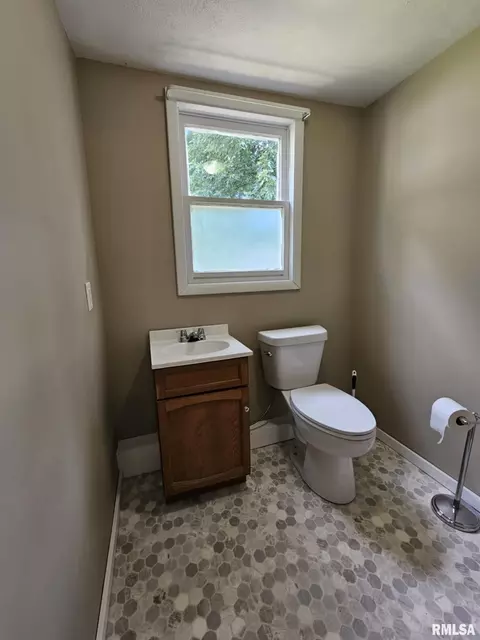 321 S Vine St, Mount Pulaski, IL 62548 photo 38