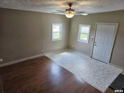 321 S Vine St, Mount Pulaski, IL 62548 photo 10