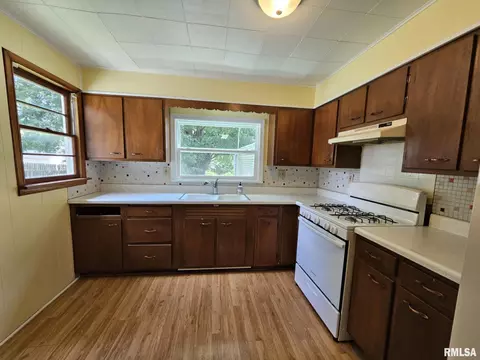 321 S Vine St, Mount Pulaski, IL 62548 photo 14