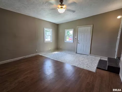 321 S Vine St, Mount Pulaski, IL 62548 photo 39