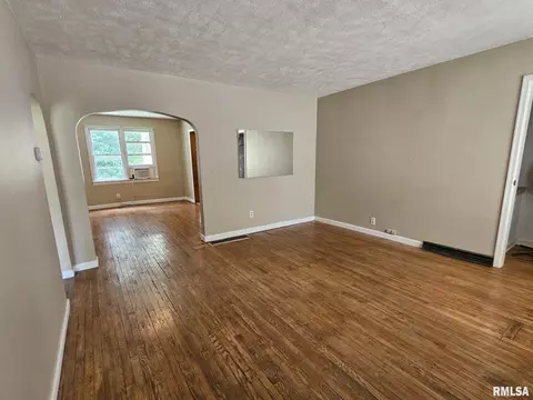 321 S Vine St, Mount Pulaski, IL 62548 photo 20
