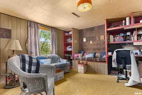 16044 Delaware Cir, Cuba, IL 61427 photo 28
